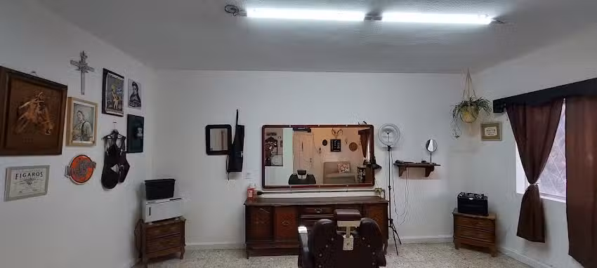 VIDA Y ALBOROTO