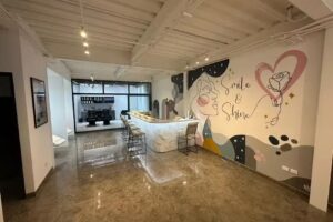 Vilu Beauty Lounge &ndash; Extensiones de cabello Natural