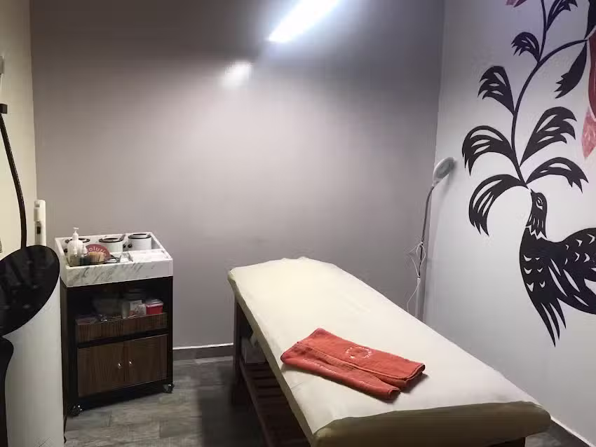 Wax Revolution Quer&eacute;taro