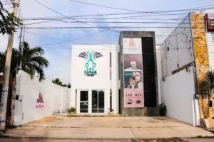 YSY VINTAGE JARDINES DEL NORTE